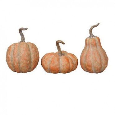 Decoratiune Pumpkin - modele diverse