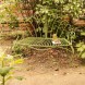 Banca Romantic Garden din metal verde 125x104 cm