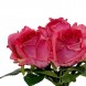 Buchet de trandafiri decorativi rosii 30 cm