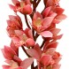 Floare Orhidee roz 87 cm