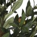 Planta artificiala maslin, verde, 60x122 cm 