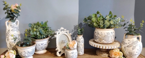 Vaze, Ghivece si Plante decorative